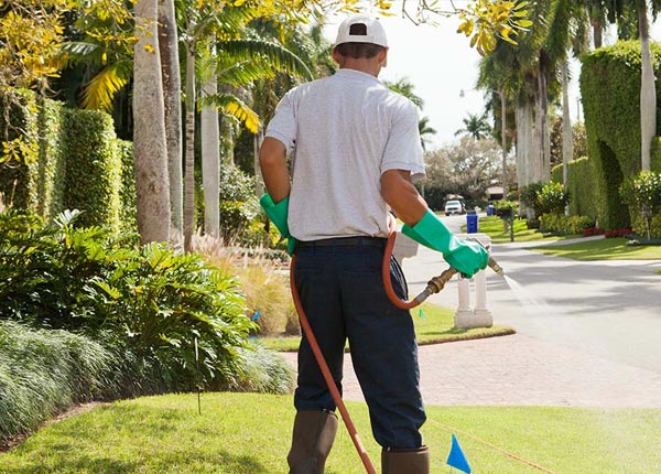 About Rhineland MO Pest Control
